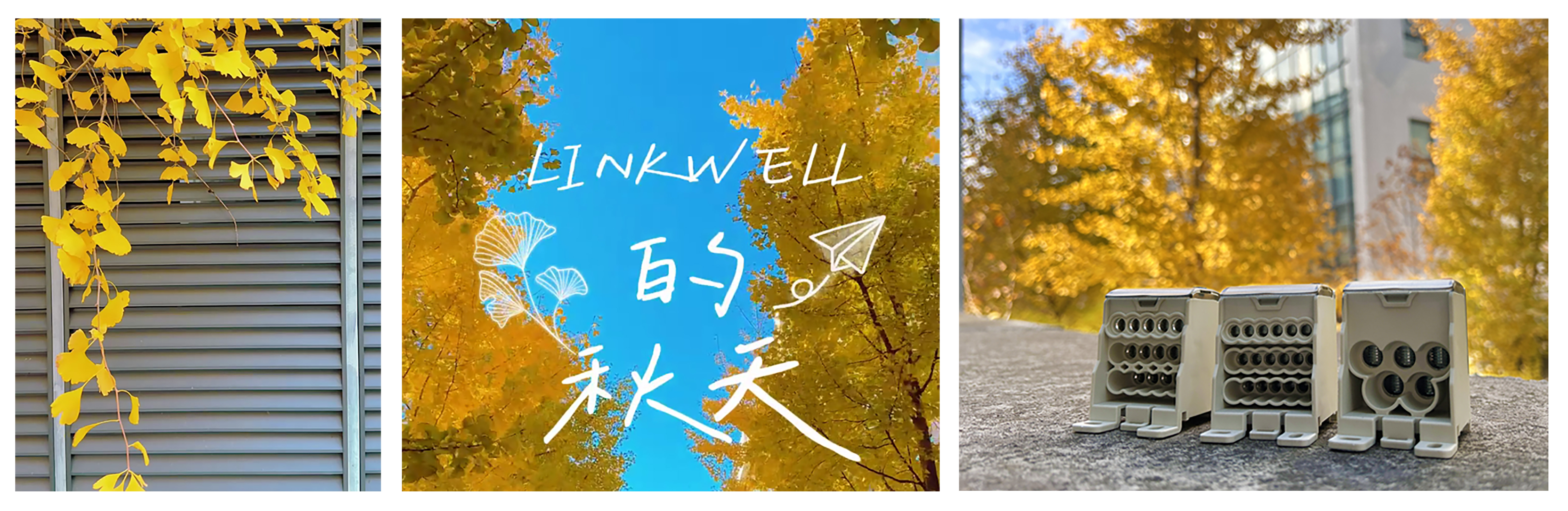 LINKWELL的秋2