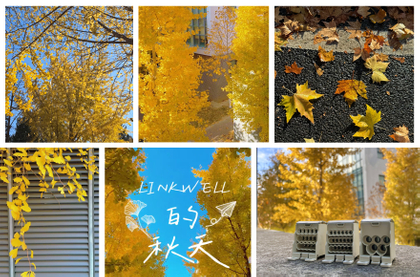 LINKWELL的秋.jpg